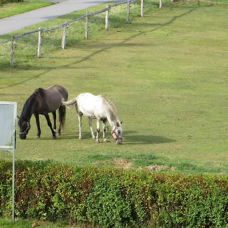 Am Radweg Nr 6